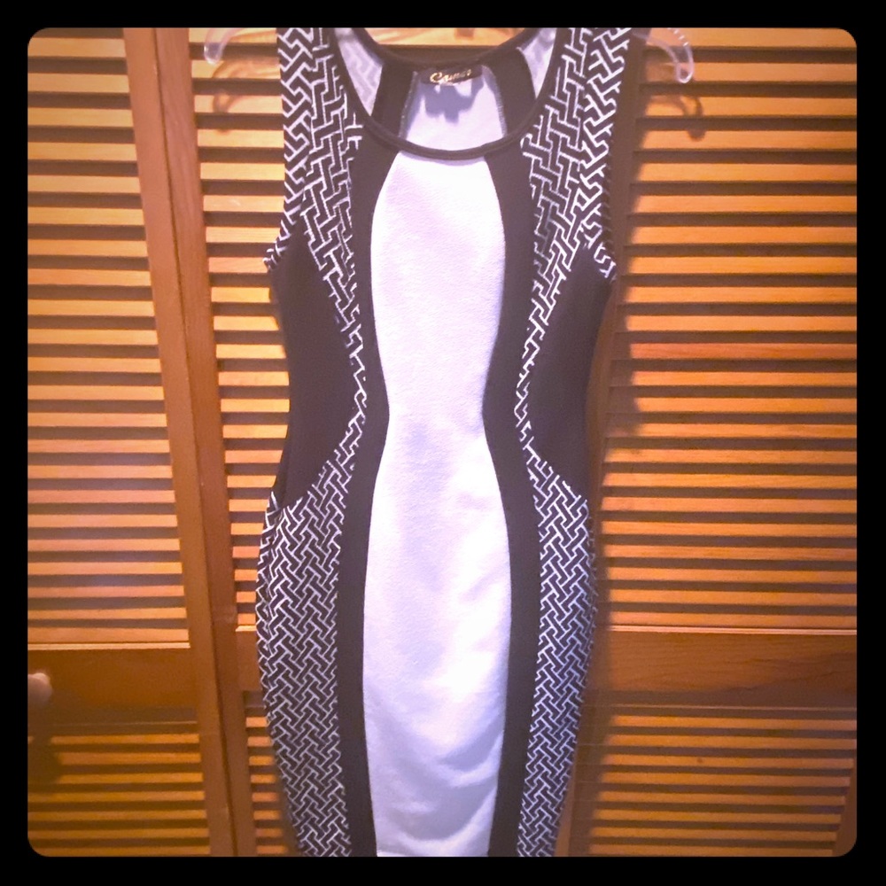 Black & White / Form Fitting Dress / M